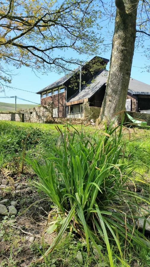 Le Gite Des Mousquetaires Lanne-en-Baretous Exterior foto