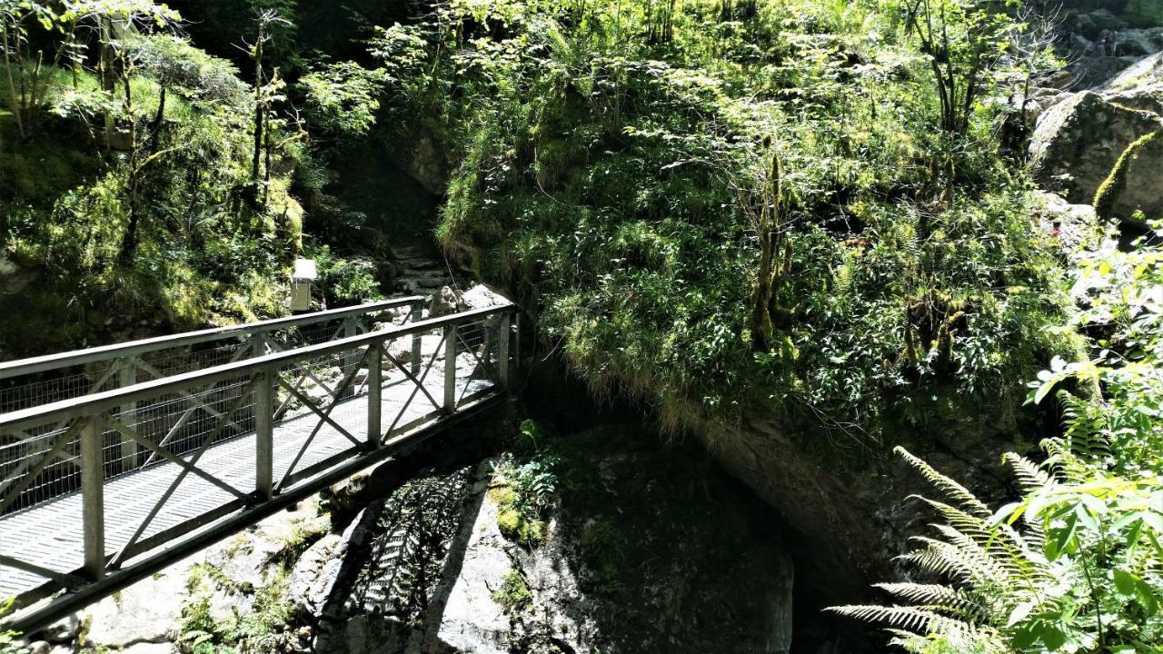 Le Gite Des Mousquetaires Lanne-en-Baretous Exterior foto
