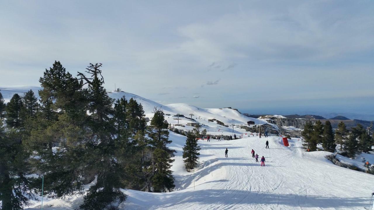 Le Gite Des Mousquetaires Lanne-en-Baretous Exterior foto